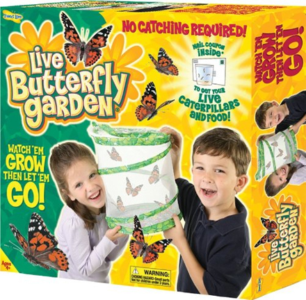 Insect Lore Live Butterfly Garden Insect Lore Live Butterfly Garden