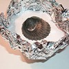 Create a Fossil