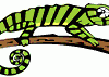 Chameleon