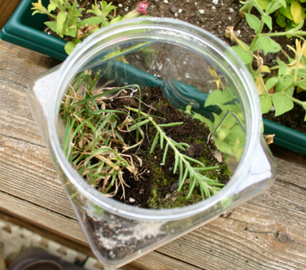 Make a Jurassic Park terrarium for your child's dinosaur toys