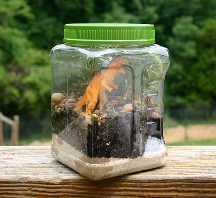 Make a Jurassic Park terrarium for your child's dinosaur toys
