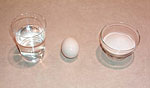 Floating Egg magic trick for kids
